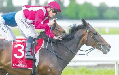  ?? Photo / Race Images South ?? Matthew Cameron and True Enough after edging out Vigor Winner at Riccarton yesterday.