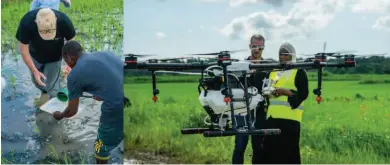  ??  ?? Scientists are using DJI drones in the fight against malaria. The pilot project entailed spraying rice fields in Zanzibar with biological insecticid­es using drones as the delivery device.