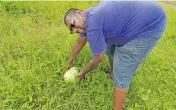  ??  ?? Rajnesh Naicker at his farm in Lovu, Lautoka.