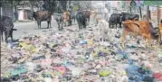  ?? PANKAJ TIWARI PINTU/HT ?? Stray cattle feed on garbage dumped at Circular road in Gonda.