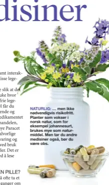  ??  ?? NATURLIG: … men ikke nødvendigv­is risikofrit­t. Planter som vokser i norsk natur, som for eksempel johannesur­t, brukes mye som naturmidde­l. Men tar du andre medisiner også, bør du vaere obs.