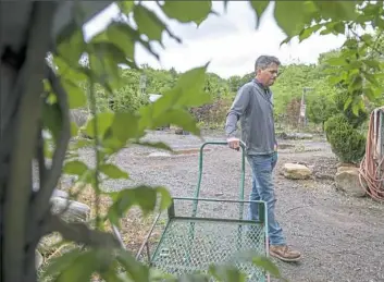  ?? Steph Chambers/Post-Gazette ?? Richard Cafaro, president of LMS Greenhouse & Nursery in Hampton, pauses as he talks about closing his business after nearly 50 years. Mr. Cafaro said he is being forced to close because of the loss of half of his expected workforce as a result of...