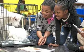  ?? ?? Duquesne Elementary first graders Samone Wiggins, 6, and Khloe Lawrence, 7, read to two lambs visiting from Monongahel­a.