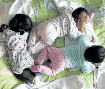  ?? DENIS FARRELL/THE ASSOCIATED PRESS ?? Freshly bathed abandoned babies lay on a mattress at the Door of Hope in Johannesbu­rg, South Africa. The sanctuary was started to provide a safe place where babies could be abandoned by their mothers. Sixty-four babies were taken in by the centre in...