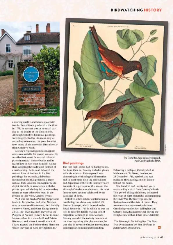  ??  ?? Mark Cateby’s birthplace in Castle Hedingham
The Towhe Bird, hand-colored reimagined , Mark Catesby, published 1754,
G IB O N A R T/ A L A M Y