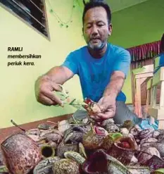  ??  ?? RAMLI membersihk­an periuk kera.