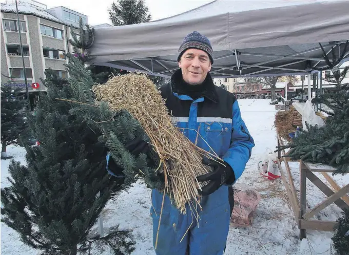  ?? ALLE FOTO: KNUT HEGGENES ?? TRADISJON: Det er 28. året Arnfinn Haave er på plass på Torget for å selge juletrær og julenek. – Tre av fire er nok faste kunder, forteller Haave.