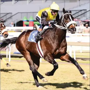  ??  ?? Doing It For Dan, pictured winning over the Turffontei­n 1100m last time out, could defy top weight in Race 2 on the Vaal sand today.