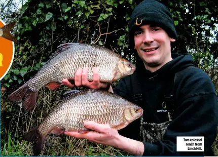  ??  ?? Two colossal roach from Linch Hill.