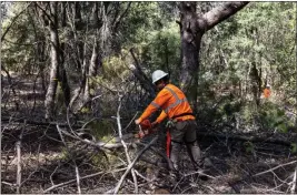  ?? JOSHUA DELAWRENCE — RECORD-BEE ?? A crew member cuts tree limbs into manageable pieces in the Cobb area in Lake County.