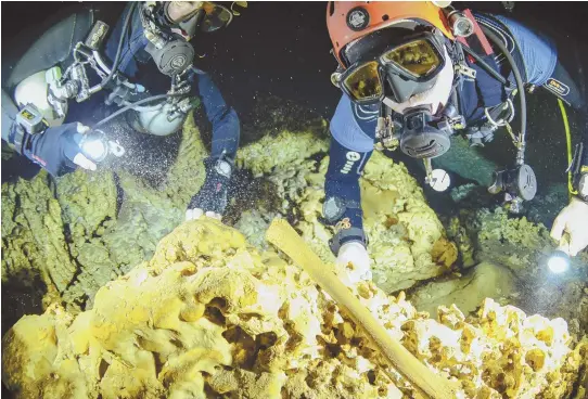  ?? APPhOTOS ?? DIG IN: Undated photos from Mexico’s National Anthropolo­gy and History Institute show divers from the Great Mayan Aquifer project exploring the Sac Actun underwater cave system.