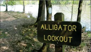  ?? Arkansas Democrat-Gazette/MICHAEL STOREY ?? As this sign points out, opportunit­ies. a hike on the wildlife trail at Millwood State Park offers alligator viewing