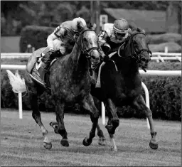  ?? BARBARA D. LIVINGSTON ?? Whitebeam (left) edges her Chad Brown-trained stablemate In Italian by a nose in the Grade 1 Diana Stakes at Saratoga.