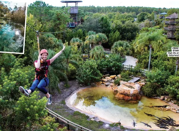  ?? ?? CROC STAR High life at Gatorland