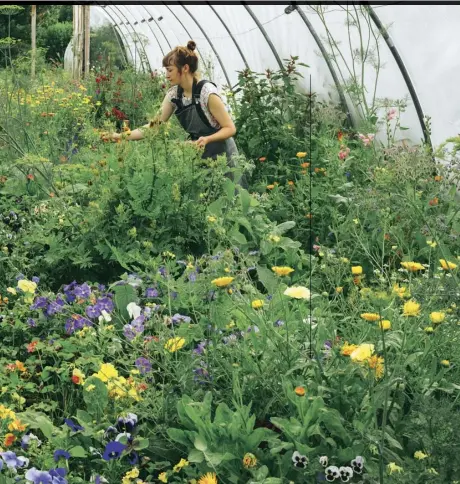  ??  ?? Previous page Jan Billington of Maddocks Farm Organics. Left Head gardener Bridget Wheeler