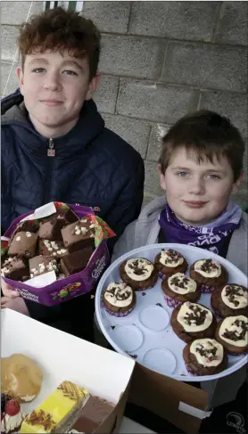  ??  ?? Tadhg Sheridan and Kalen O’Toole at the cake stall.