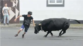  ??  ?? A bull keeps a man on the run during the touradas a corda (literally, bull on a rope) in Vila Nova. Villages on Terceira Island hold the bull events throughout the season, from May to October, as part of individual festivals.