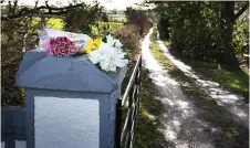  ?? Photo: Frank McGrath ?? Flowers outside Paddy Lyons’ house.