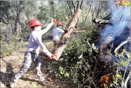  ?? Guy Mccarthy / Union Democrat ?? Students Jody Mcnair and Klayton Powell (above) toss cut up pine branches on a burn pile Friday at Columbia College. Students in the class listen to instructor Tom Hofstra speak (left, top). Student Harley Radcliffe (left, bottom) uses a Husqvarna 550 XP to cut an oak branch into smaller pieces, easier to pile for burning. Ruby Mason, an assistant instructor (below), clears cut wood during the class.