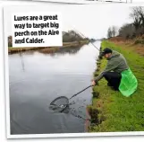  ??  ?? Lures are a great way to target big perch on the Aire and Calder.