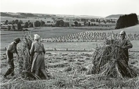  ?? Foto: Martin Reitmaier, Sammlung Trometer ?? Wenn auf den Feldern (hier im Zusamtal) gearbeitet wurde, dann hatten Langfinger in der Regel leichtes Spiel.