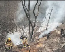  ?? – AFP photos ?? Firefighte­rs work at the Botanical Garden after a forest fire in Viña del Mar, Chile, on Feb 4, 2024.