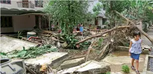  ?? AP ?? A fallen tree and broken compound wall of a house on a flood-affected island in Ernakulam. —