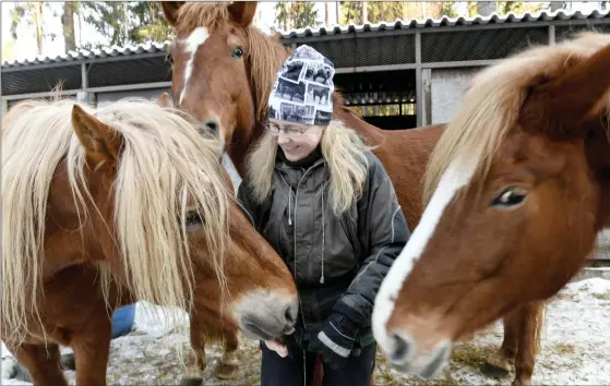  ?? KAINULAINE­N
FOTO: LEHTIKUVA/MARTTI ?? BRINNER FöR FINSKA KALLBLOD. Respekten för ursprungsr­asen har ökat, gläder sig hästuppföd­aren och ridskolefö­retagaren Mirkka Lehtonen.