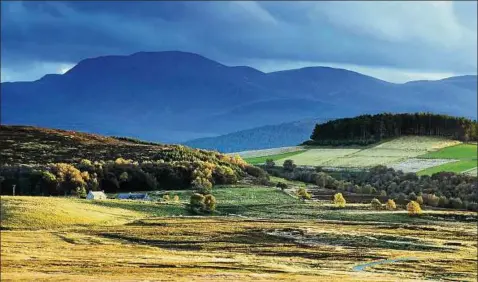  ?? Foto: Damian Shields/Visit Scotland ?? Der Whisky-Trail führt durch die Highlands von Grantown-on-Spey.