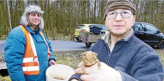  ?? Foto: Gregor Mühlhaus ?? Annemarie Jennes aus Limlingero­de und Reinhard Koch aus Stöckey kümmern sich seit neun Jahren um die Kröten und Molche.