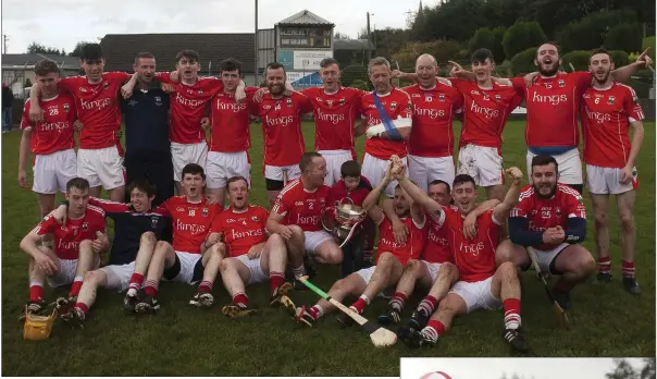  ??  ?? The Glenealy hurlers who claimed the IHC crown by defeating Carnew Emmets in Pearse’s Park.