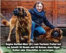  ?? ?? Regina Barthel-Marr (61) vom Tierheim Freital hat im Schnitt 30 Hunde und 60 Katzen, dazu Vögel, Ratten oder Chinchilla­s zu versorgen.