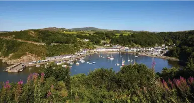  ??  ?? CLOCKWISE FROM TOP Lower Fishguard Harbour seen from the Gorsedd Stone Circle; wildlife boat trips run from the harbour; the Fishguard Herrings sculpture on the quayside is a nod to the town’s past industry