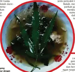  ??  ?? LAUK yang dicampur dengan ganja digunakan suspek bagi mempromosi­kan kepada pelanggann­ya.