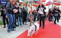  ?? CHEN CHENG / XINHUA ATHIT PERAWONGME­THA / REUTERS CHENG TINGTING / XINHUA ?? A competitor at a martial arts competitio­n in Johannesbu­rg on Saturday. A mother holds her daughter and admires lanterns, celebratin­g Lunar New Year on the outskirts of Bangkok on Feb 5. A woman brings her pet pig to participat­e in activities to celebrate Lunar New Year in Rome on Sunday.