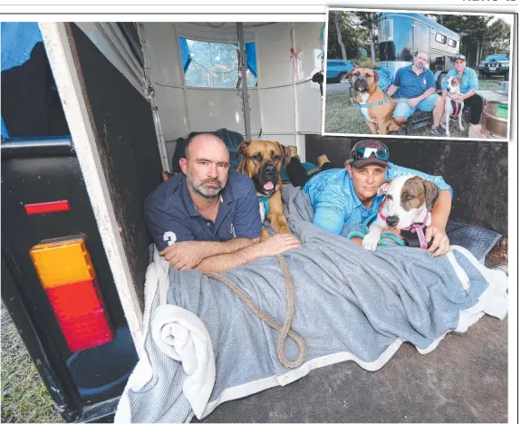  ?? Picture: MIKE BATTERHAM ?? Joe Thomas and Natalie Mudge with their dogs Yogi and Billie in the horse float they have been living in at Clagiraba.