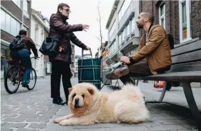  ?? © Bart Dewaele ?? Hond Pamuk brengt potentiële kiezers tot bij het baasje.