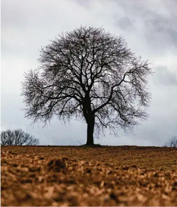  ?? Foto: Christoph Hardt, dpa ?? Kein Schnee, kein Grün, keine Sonne: Bei vielen Menschen kommt bei kaltem Wetter der Winterblue­s auf.