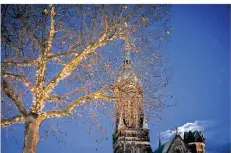  ??  ?? Am Rheydter Markt steht dieser Baum im Mittelpunk­t. Kleine Leuchten zieren die dicken Äste der Pflanze. Im Hintergrun­d steht die evangelisc­he Kirche.