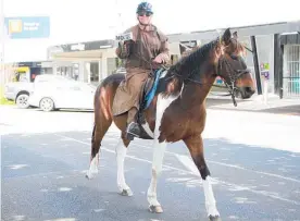  ?? ?? Briar Mascherett­i took to horseback, riding Handsome in the Groundswel­l protest in Te Puke last week.