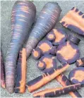  ?? ?? From left, purple carrots, ‘Pacific Purple’ asparagus and purple dwarf French beans