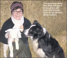  ??  ?? Third generation farmer Anna Wolfe with one of dozens of new year lambs and farm dog Castro at Port Hill Farm, Stoney Stanton