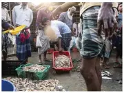  ??  ?? ■ Stora fiskoch räkodlinga­r har byggts upp på ön Gabura i Bangladesh.