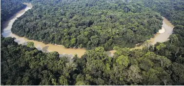  ?? ANTONIO SCORZA/AFP/GETTY IMAGES ?? A view of the Jamanxim river, which crosses the National Forest reserve in the state of Para, northern Brazil. The country’s president has announced that some of the area would be opened to commercial mining activity.