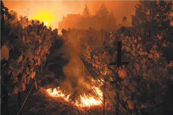  ?? Peter DaSilva / Special to The Chronicle 2017 ?? The Nuns Fire burns through Paras Vineyards while the main structure on the property is ablaze in the background west of downtown Napa on Oct. 10, 2017.