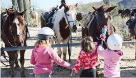  ?? Bill Fink / Chicago Tribune / TNS ?? Some younger guests at Tanque Verde Ranch in Arizona get to know the horses. The ranch also offers swimming and fishing.