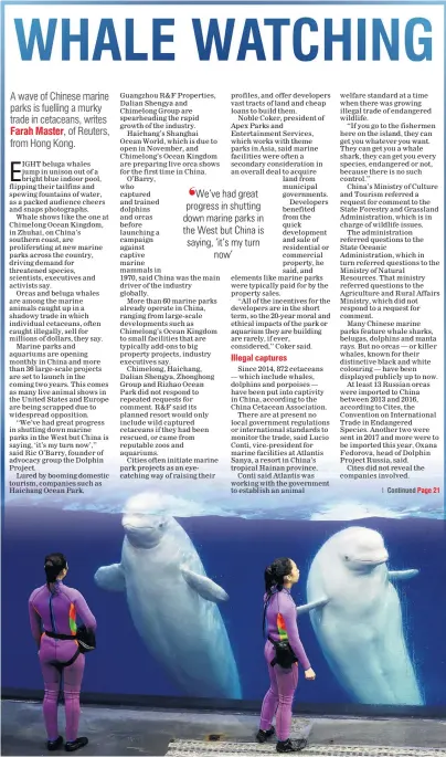  ?? PHOTO: REUTERS ?? Outside, inside . . . Trainers and belugas after a show at the Beluga Theatre in Chimelong Ocean Kingdom, Zhuhai.