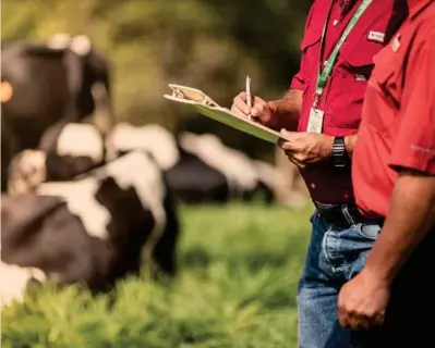  ?? CORTESÍA DOS PINOS ?? Dos Pinos afirma que mantendrá el abastecimi­ento de sus leches fluidas y en polvo en el mercado.