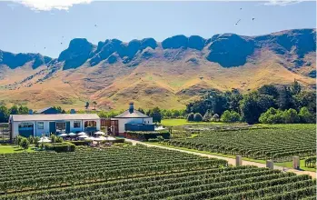  ??  ?? The cellar door tasting at Craggy Range was exceptiona­l – the staff is hugely knowledgea­ble.