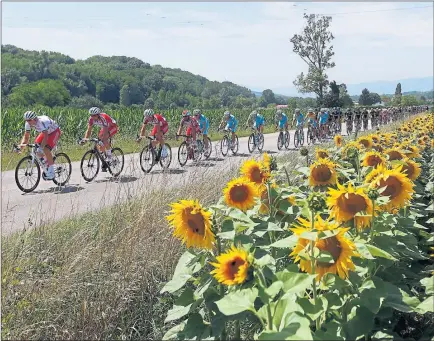  ?? Picture: EPA ?? BUDDING PROSPECTS:This year’s Tour de France kicks off today in the Dutch town of Utrecht.